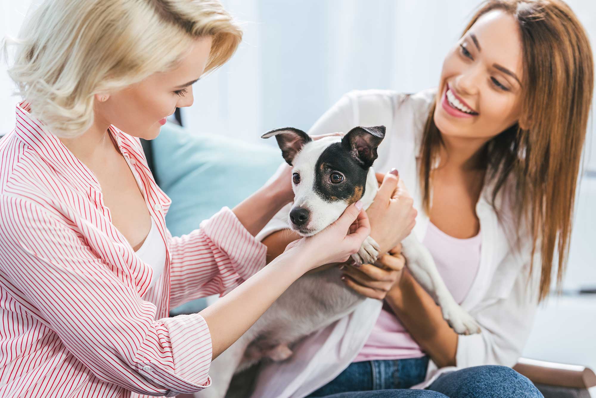 happy-girls-with-jack-russell-terrier-dog-at-home-2022-11-17-22-13-19-utc